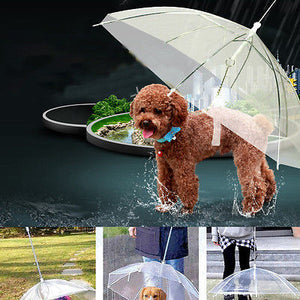 Transparent Pet Umbrella Portable